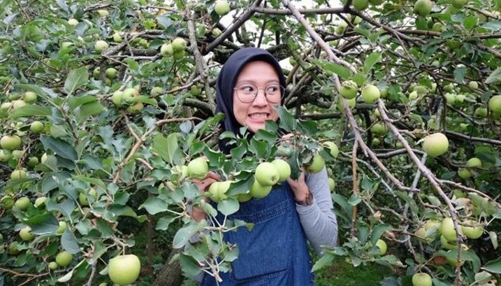 Wisata Petik Apel Malang